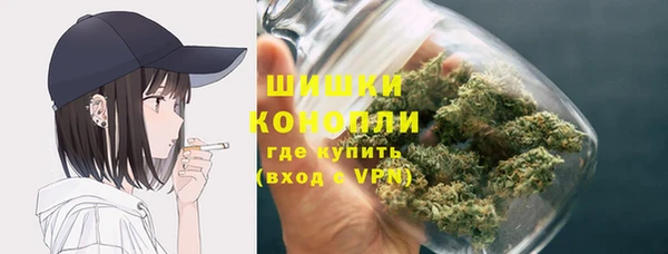 шишки Ханты-Мансийск