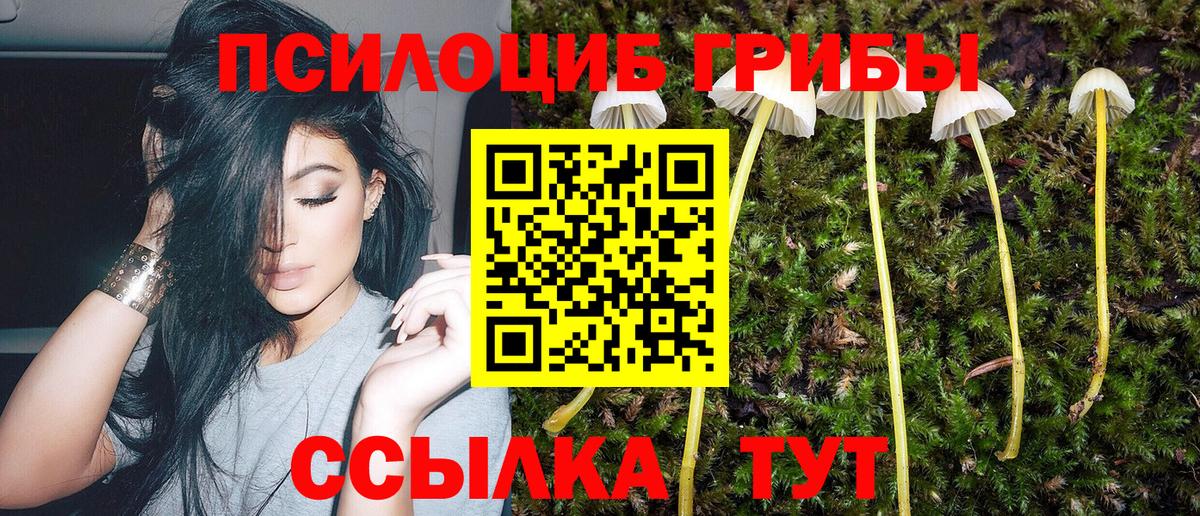 Псилоцибиновые грибы мицелий Краснодар